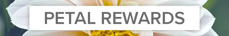 Petal Points Loyalty Rewards Program