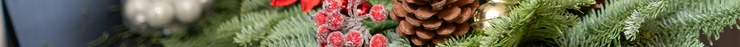 Register for Holiday Design Classes