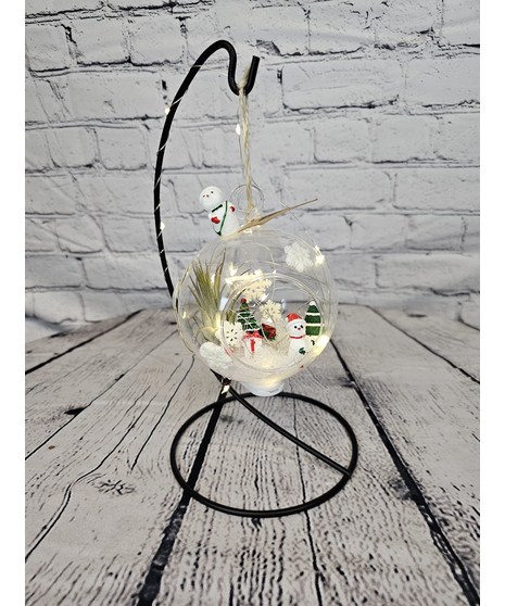 12/9 Design Class - Tillandsia Snow Globe