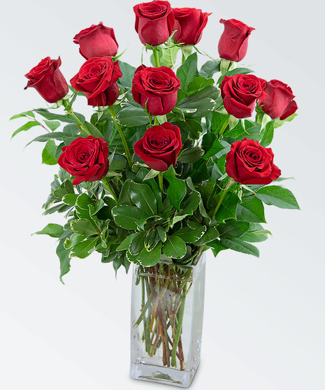 Classic Long Stemmed  Roses