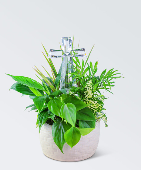 Dish Garden with Crystal Cross Keepsake