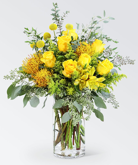Yellow Vibrance