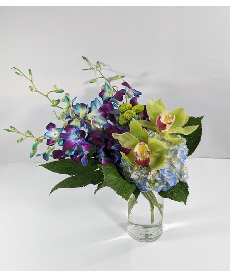 Blue Orchid Dreams