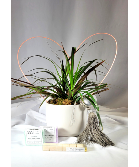Plant Gift Set