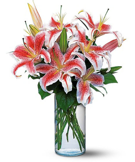 Elegant Stargazer Lily Bouquet