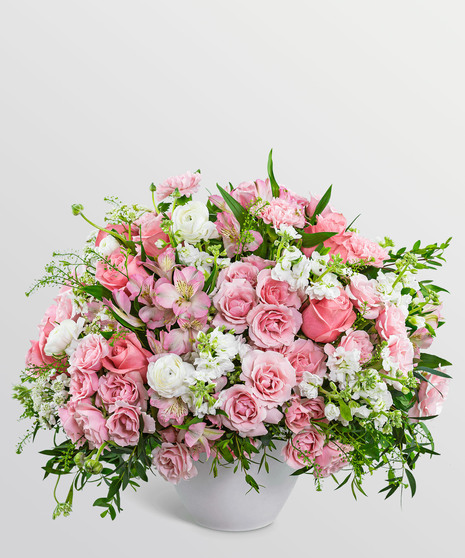 Provence Rose Garden