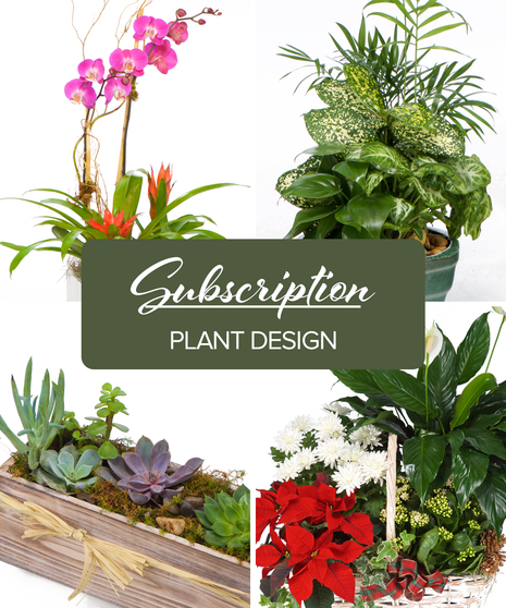 Plant Subscriptions