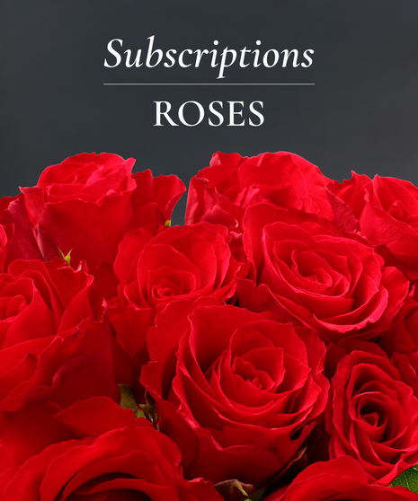 Rose Arrangement Subscription