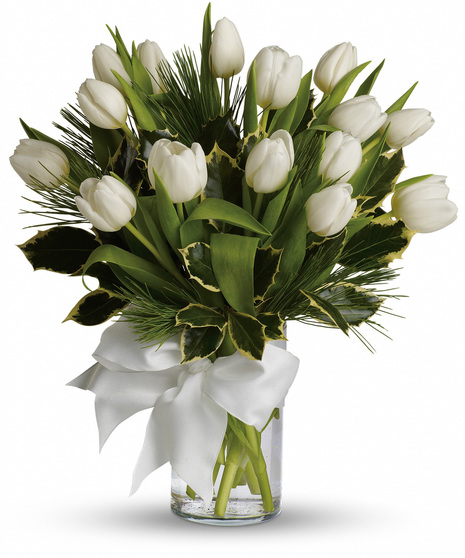 clear vase with white tulips, winter greens, holly and ribbon