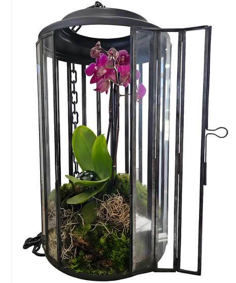 The Orchid Conservatory