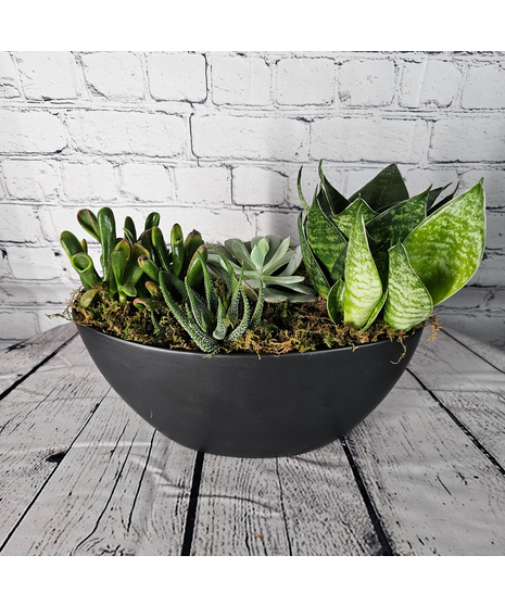 Zen Garden Planter